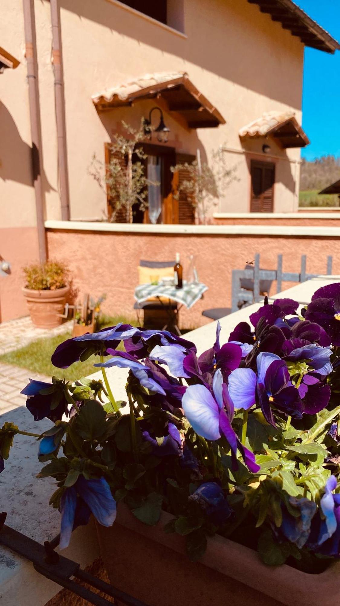 Crispiero Selvicolle Country House المظهر الخارجي الصورة